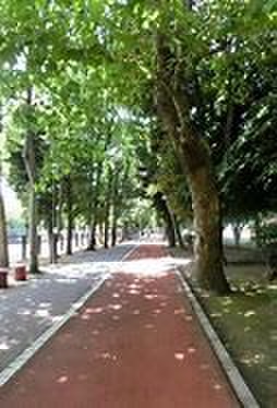 公園　青木町公園（公園）まで150m