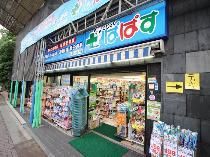 ドラックストア　どらっぐぱぱす　小石川1丁目店（ドラッグストア）まで603m