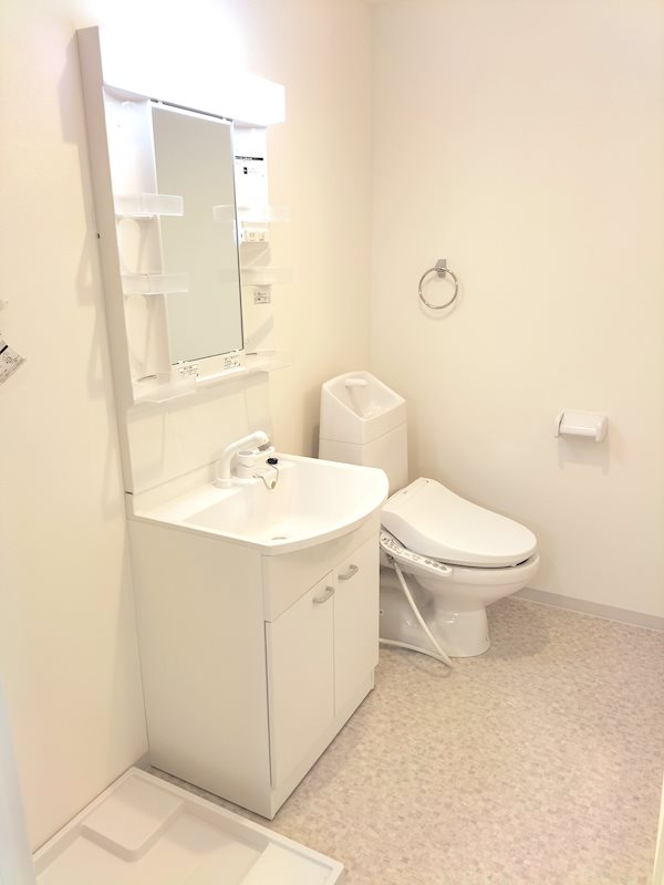 洗面設備　お掃除にも便利なシャワードレッサー