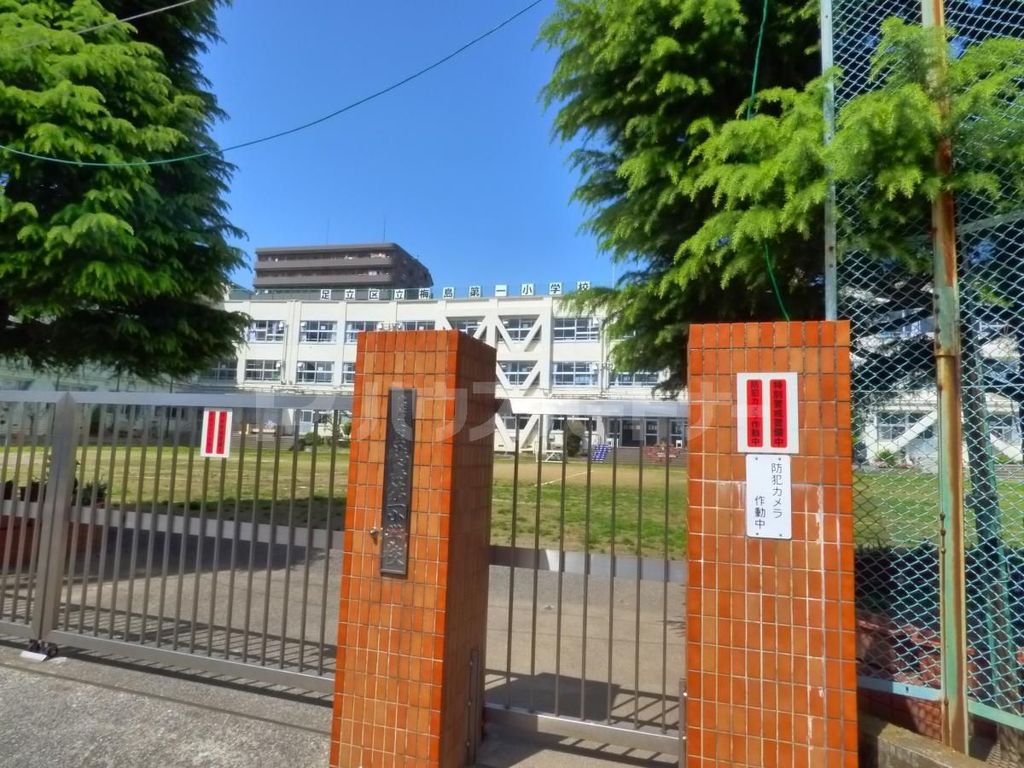 小学校　足立区立梅島第一小学校（小学校）まで320m