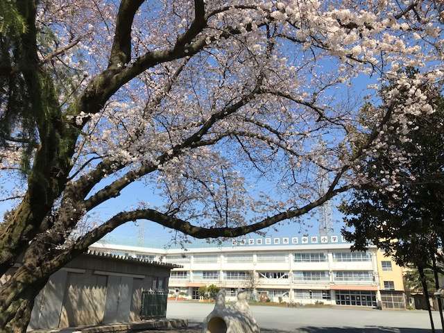 小学校　中原小学校（小学校）まで1257m