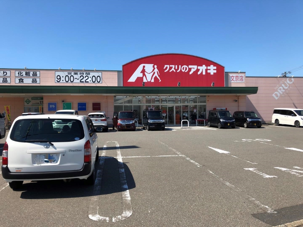 ドラックストア　クスリのアオキ 文京店（ドラッグストア）まで493m