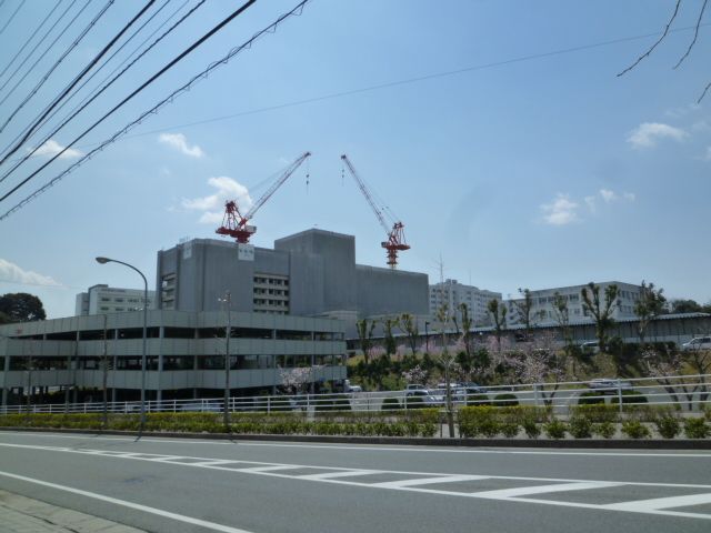 病院　国立大学法人浜松医科大学医学部附属病院（病院）まで1255m