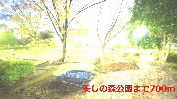 公園　美しの森公園（公園）まで700m