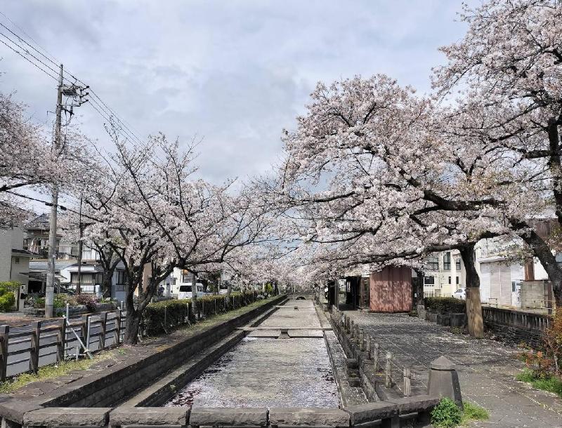 公園　曳舟川親水公園（公園）まで500m