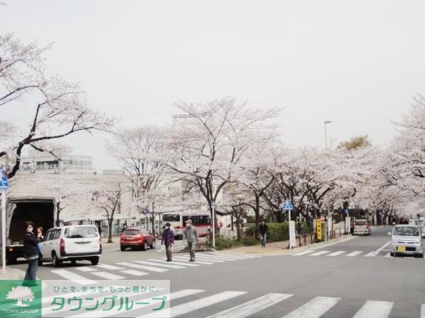 その他　東急田園都市線宮崎台駅（その他）まで100m