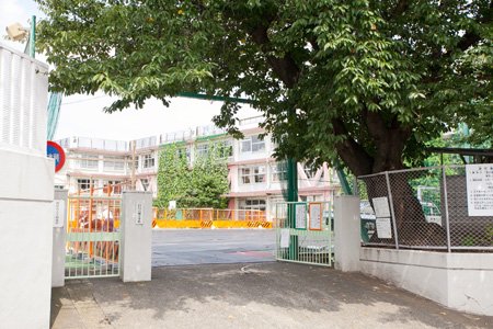 小学校　世田谷区立八幡小学校（小学校）まで533m