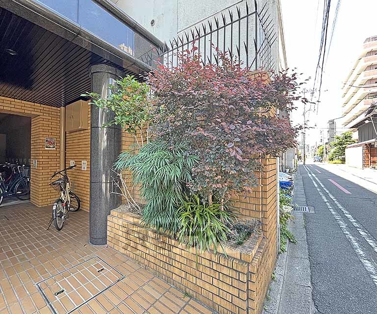 庭