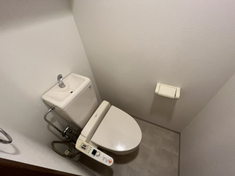 エル・セレーノ武庫川のトイレ写真
