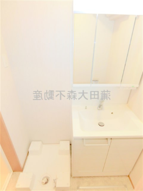 洗面設備　3面鏡の独立洗面台　洗濯機置き場　洗面脱衣所