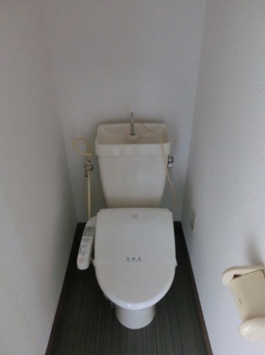 ラ・パルテール福富 壱番館のトイレ写真