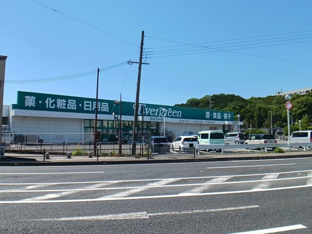 ドラックストア　エバグリーン海南店様（ドラッグストア）まで800m