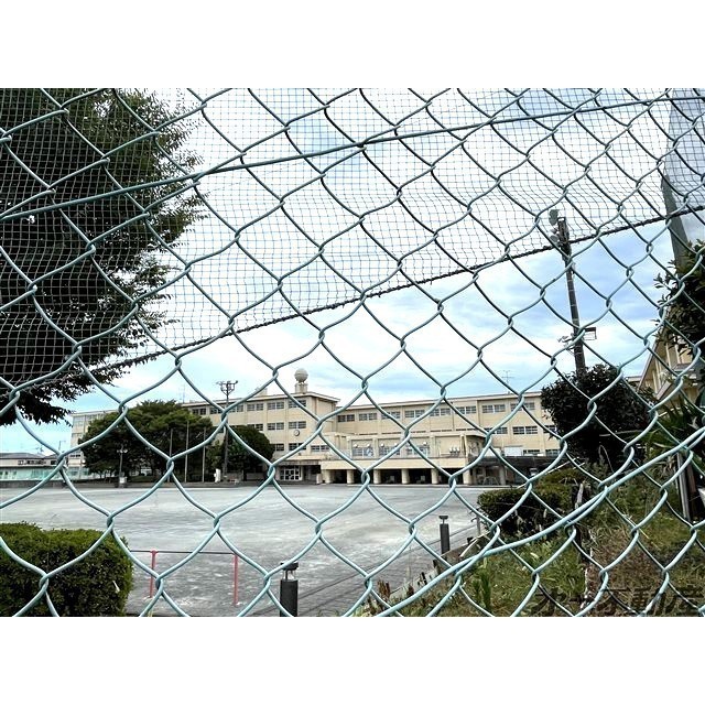 小学校　静岡市立清水船越小学校（小学校）まで1100m