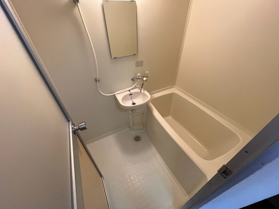 バス・シャワールーム　※別部屋の写真です