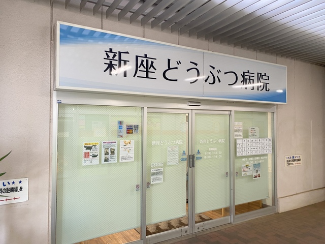 病院　新座どうぶつ病院（病院）まで595m