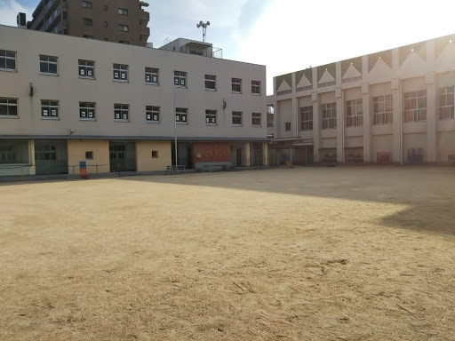 小学校　大阪市立南恩加島小学校（小学校）まで281m