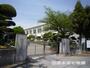 幼稚園・保育園　南幼稚園（幼稚園・保育園）まで424m