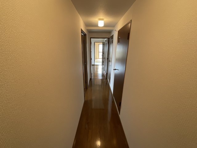 その他　玄関からお部屋に繋がる廊下です