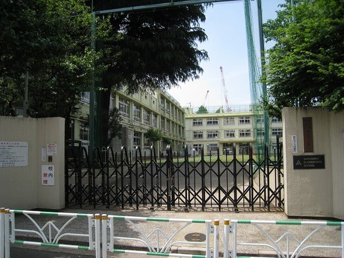 小学校　渋谷区立猿楽小学校（小学校）まで594m