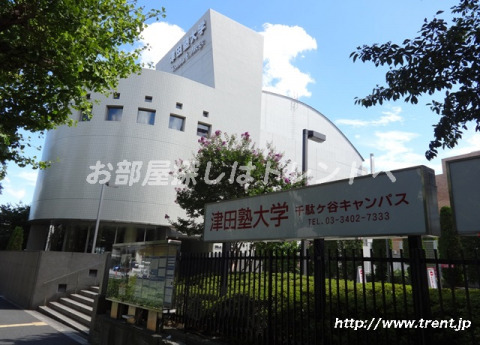 大学・短大　津田塾大学 千駄ヶ谷キャンバス（大学・短大）まで800m