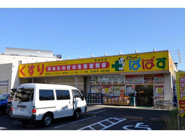 ドラックストア　どらっぐぱぱす東金町店（ドラッグストア）まで772m