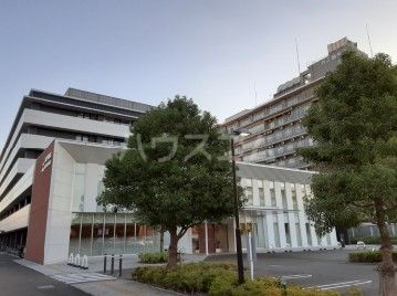 病院　井之頭病院（病院）まで553m