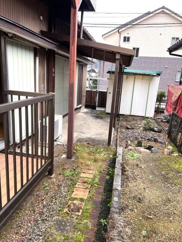 庭