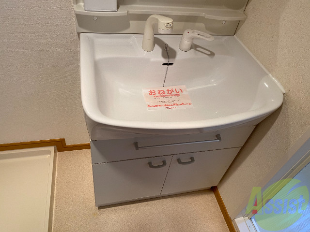 洗面設備　独立洗面台です。シャワーもついていますよ