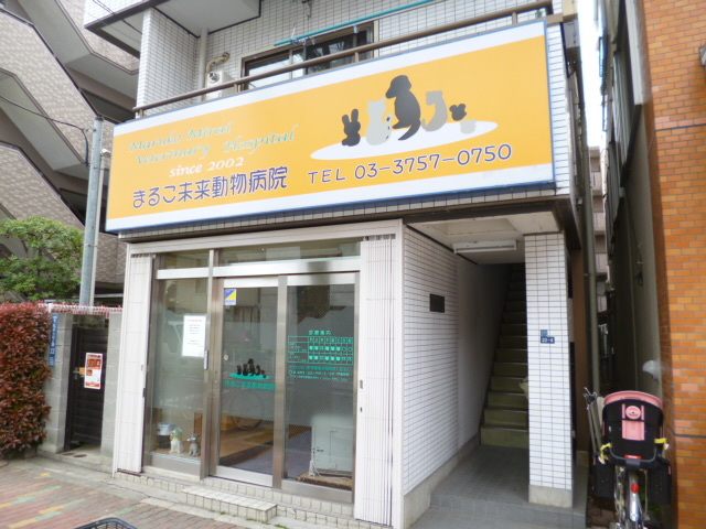 病院　まるこ未来動物病院（病院）まで666m