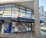 ドラックストア　ドラッグセガミ 壬生店（ドラッグストア）まで307m