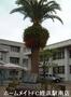 小学校　玄洋小学校（小学校）まで713m