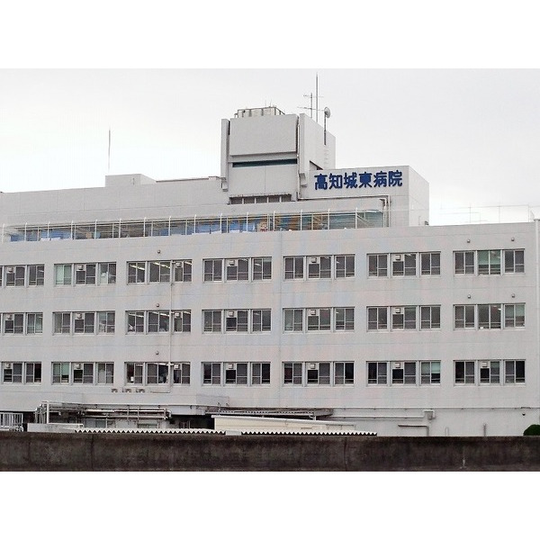 とさでん交通後免線 東新木駅 徒歩13分 2階建 築31年の周辺写真