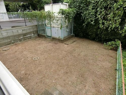 庭