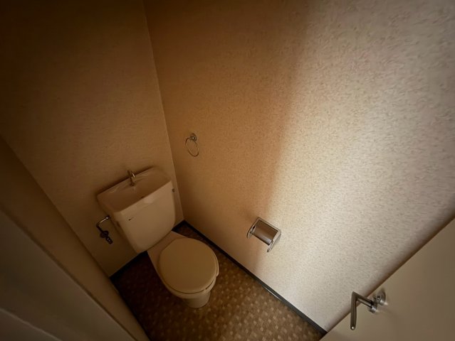 ノイエシュトラッセ山木田ビルのトイレ写真