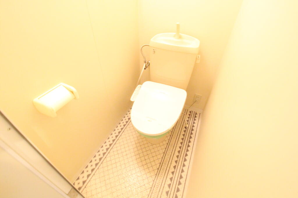 ＪＲ牟岐線 二軒屋駅 徒歩18分 4階建 築27年のトイレ写真