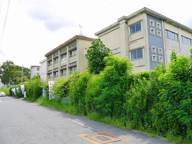 近鉄奈良線 菖蒲池駅 徒歩16分 2階建 築33年の周辺写真