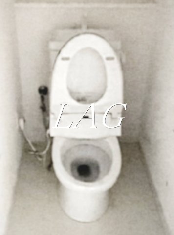 トイレ　トイレです。