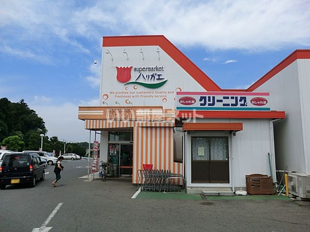 スーパー　スーパーマーケットハリガエ（スーパー）まで723m