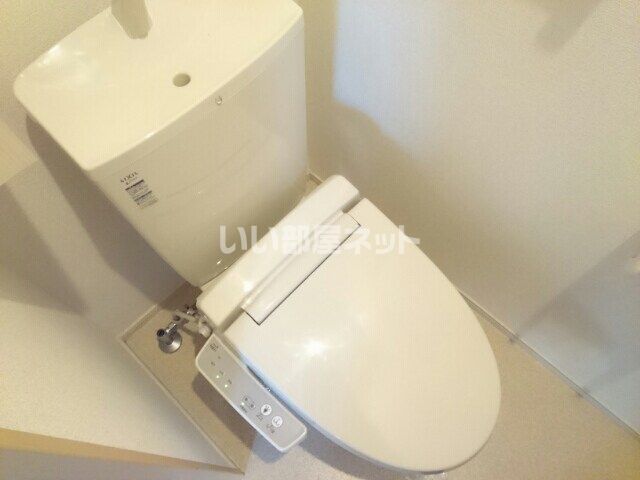 カーネーションのトイレ写真