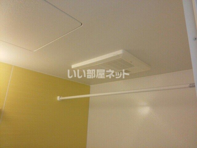 カーネーションのその他写真