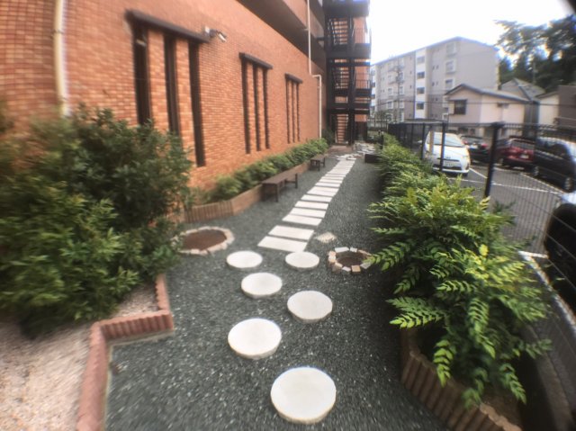 庭