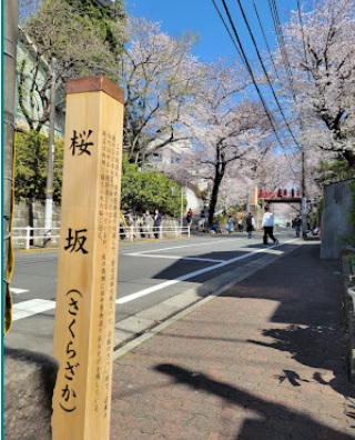 その他　桜坂（その他）まで246m
