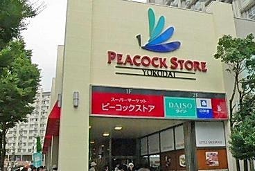 スーパー　ピーコックストア 高輪魚籃坂店（スーパー）まで483m