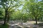 公園　都立駒沢公園西口（公園）まで546m