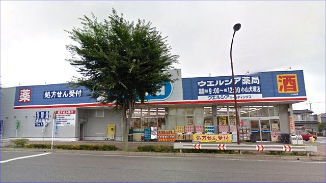 ドラックストア　ウエルシア薬局小山犬塚店（ドラッグストア）まで689m