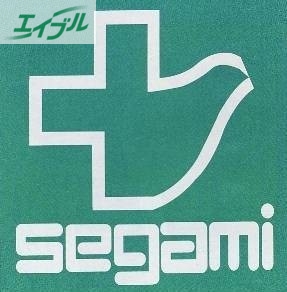 ドラックストア　ドラッグセガミ岡山表町店（ドラッグストア）まで198m