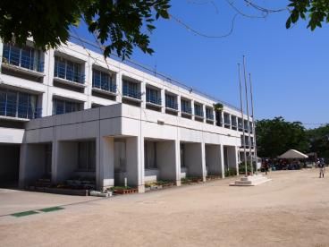 小学校　野田市立関宿中央小学校（小学校）まで716m