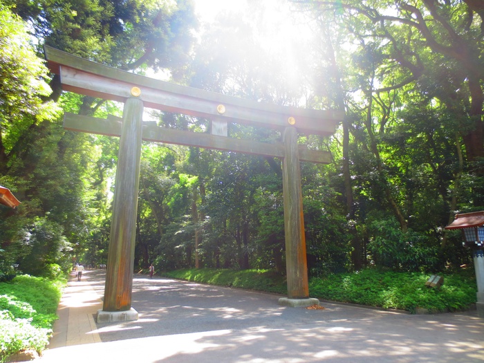 公園　明治神宮（公園）まで800m