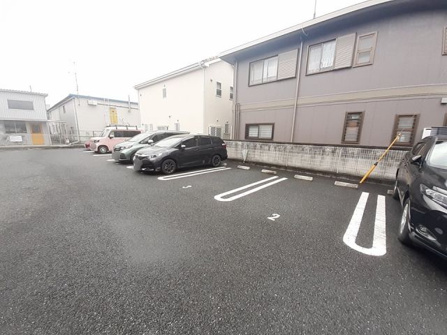 ティエルノ_その他_3