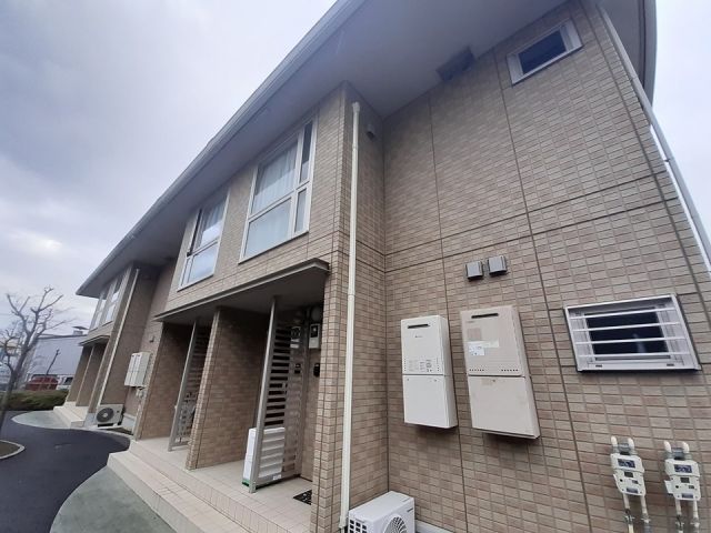 ティエルノ_その他_2